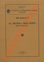 La Tignola dell'olivo (Prays oleellus F.)