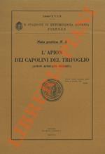 L' Apion dei Capolini del Trifoglio (Apion apricans Herbst.)