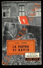 La pietra di David