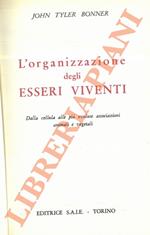 L’organizzazione degli essseri viventi. Dalla cellula alle più evolute associazioni animali e vegetali