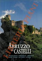 Abruzzo dei Castelli. Gli insediamenti fortificati abruzzesi dagli italici all'unità d'italia