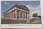 Visitate Paestum, la città delle rose