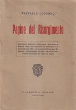 Pagine del Risorgimento