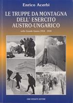 Le truppe da montagna dell'esercito austro-ungarico nella Grande guerra 1914-1918