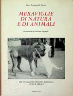 Meraviglie di natura e di animali: sul piano biblico, patristico, ecclesiastico, morale, civile, didattico, letterario, artistico: ecologia e teologia: deal creato al creatore