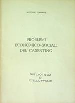 Problemi economico-sociali del Casentino