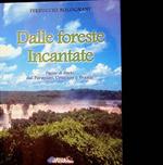 Dalle foreste incantate: pagine di diario: Paraguay, Uruguay e Brasile