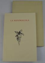 La Mandragola