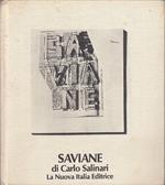 Giorgio Saviane -
