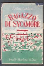 Ragazzo Di Sycamore