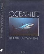 Ocean Life Beneath The Crystal Seas