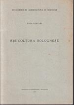 Risicoltura Bolognese- Enea Venturi- Tipografia Mareggiani