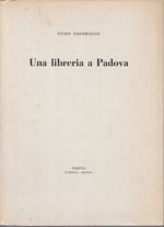 Una Libreria A Padova