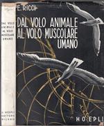 Dal Volo Animale Al Volo Muscolare Umano