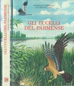 Gli Uccelli Del Parmense