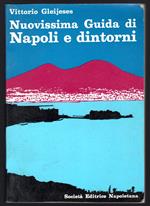 Nuovissima guida di Napoli e dintorni