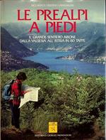 Le Prealpi a piedi: il grande sentiero Airone dalla Valsesia all'Istria in 80 tappe