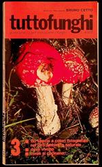 Tuttofunghi: guida pratica per conoscere i funghi