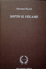 Sotto il velame