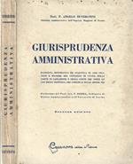 Giurisprudenza amministrativa