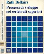 Processi di sviluppo nei vertebrati superiori