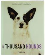 A Thousand Hounds - Tausend Hunde - Un Millier De Chiens