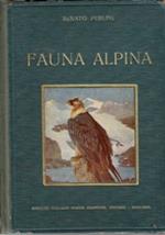 Fauna alpina: (vertebrati delle Alpi). , IIa edizione ridotta ed annotata a cura dell’avv. Franco Ceroni Giacometti; con 72 tavole originali a colori ed in nero