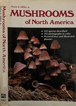 Mushrooms of North America