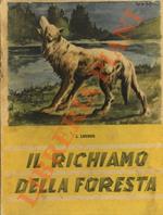 Il richiamo della foresta