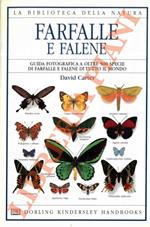 Farfalle e falene