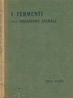 I fermenti dell'organismo animale