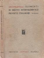 Elementi di Diritto Internazionale Privato Italiano