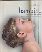 Il bambino Cosa pensa, cosa impara e come cresce nei suoi primi anni