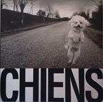 Chiens