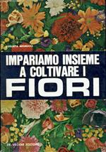 Impariamo insieme a coltivare i fiori