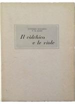 Il colchio e le viole