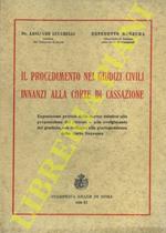 Il procedimento nei giudizi civili innanzi alla Corte di Cassazione. Esposizione pratica delle norme relative alla proposizione del ricorso e allo svolgimento del giudizio, con richiami alla giurisprudenza della Corte Suprema