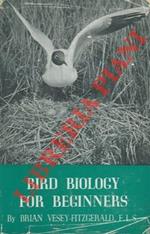 Bird biology for beginners