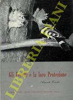 Gli uccelli e la loro protezione