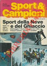 Sport della neve e del ghiaccio