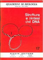 Struttura e sintesi del DNA