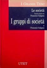 I gruppi di società