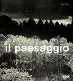 Il paesaggio in bianco e nero