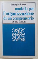 Modello Per L'Organizzazione Di Un Comprensorio-Un Applicazione Al Biellese