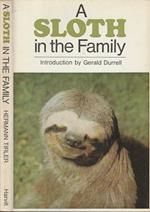 A sloth in the family