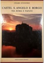 Castel S. Angelo e Borgo tra Roma e Papato - volume in cofanetto editoriale