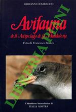 Avifauna dell'arcipelago di La Maddalena.