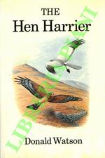 The Hen Harrier