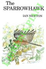 The Sparrowhawk.