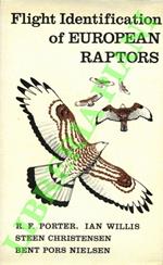 Flight identification of european raptors.